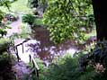 The garden pond is fed by the natural stream running through the garden