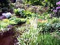Extensive planting in the Lower Wild Dell