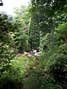 The 'hidden' parts of  Dunge Valley Gardens can only be viewed on foot