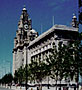 David Lydiate's Liverpool