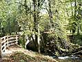 Devon - England's prettiest county?