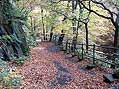Healey Dell - Whitworth