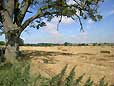 Wimpstone - Warwickshire