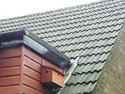 Sparrow terrace - room for 3 nesting pairs