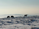 The end of a cold day on the summit of Brown Wardle, Whitworth, Lancashire