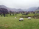 The Lakeland Fells & Crummock Water (viewed from Godferhead)