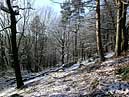 Hardcastle Crags - Hebden Bridge - West Yorkshire