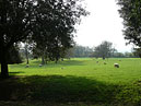 Hidcote Manor - Gloucestershire