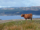 Overlooking Inveraray - Argyll & Bute