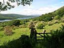 South Windermere - Cumbria