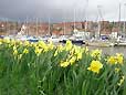 Whitby - East Yorkshire