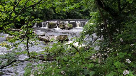 Aysgarth Upper Falls, Wensleydale - Yorkshire Dales (OS Grid Ref. SE012886 Nearest Post Code DL8 3SR)
