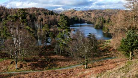 Tarn Hows - Lake District National Park (OS Grid Ref. SD329995 Nearest Post Code LA22 0PP)