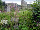 Jervaulx Abbey - Yorkshire (SE171857)
