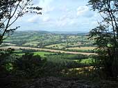 Major's Leap - Wenlock Edge - Shropshire (SO594987)