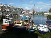 Mevagissey Harbour - Cornwall (SX014447)