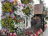 'Usk in Bloom' at the Nag's Head, Twyn Square, Usk - Monmouthshire (SO377009)