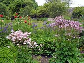 Wallington - Cambo - Northumberland (NZ035842) 