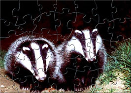 Click on the link under the picture to download the jigsaw