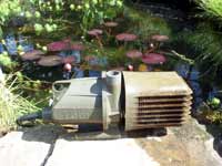 Lotus pond pump