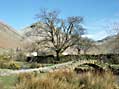 The Packhorse Bridge behind the Wasdale Head Inn