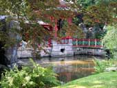The Chinese garden