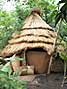 West African hut