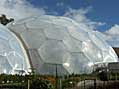 The warm temperate biome