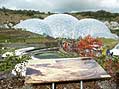 The humid tropics biome and the photograph of the original china clay pit