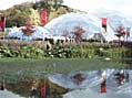 Eden Project's lake