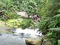 The waterfalls are decorative, but also create humidity