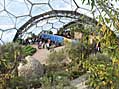 The warm temperate biome has a dry and airy atmosphere