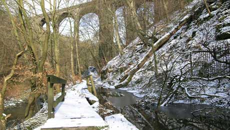 Healey Dell Nature Reserve, Whitworth, Rossendale<