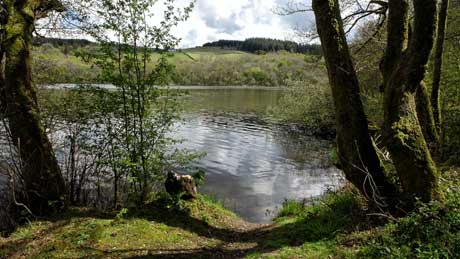 Loch Arthur - Beeswing : Dumfries and Galloway