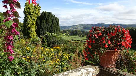 Powis Castle Gardens, near Welshpool, Powys