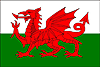The Welsh National Flag