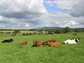 The Ribble Valley - Lancashire