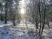 Hardcastle Crags - West Yorkshire