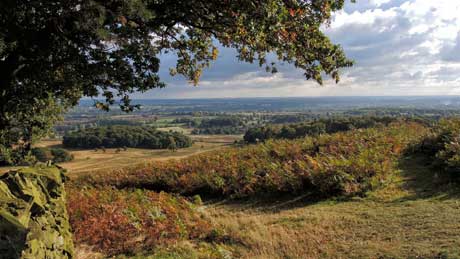 The view from 'Old John' - Bradgate Park, Leicestershire (OS Grid Ref.  SK524111 Nearest Post Code LE6 0AH)