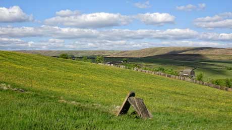 Open moorland, a few hundred yards from our home in Whitworth, Rossendale