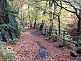 Autumn colours at Healey Dell