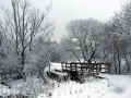 Healey Dell nature reserve - Whitworth