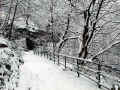 Down to the Healey Dell nature reserve in Whitworth